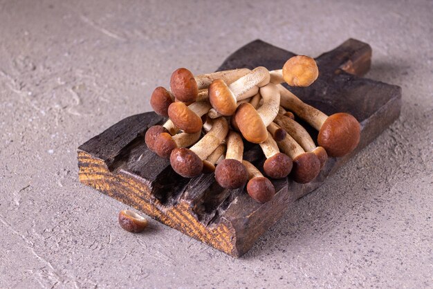 Honey mushrooms lie on a wooden board on a gray background