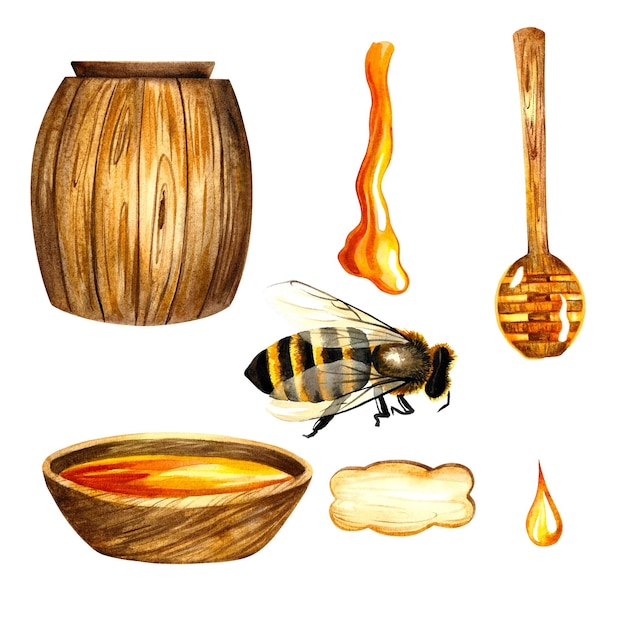 Photo honey set with barrel bees bowl and spoon isolate, watercolor illustration.