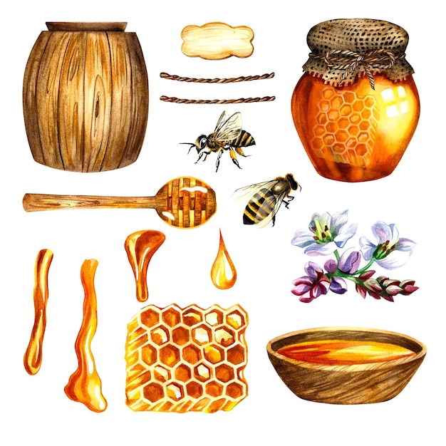 Photo honey set with jar barrel bees honeycombs buckwheat flowers isolate, watercolor illustration.