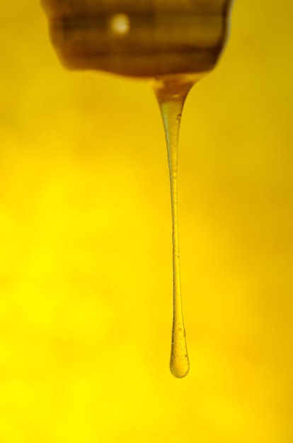 Honey stick with pouring honey Flow of sweet honey Organic sweet honey splashes Honey dripping with honey dipper