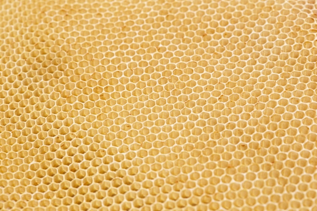 Honeycomb Background