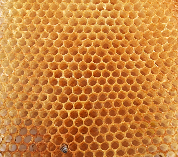 Honeycomb background