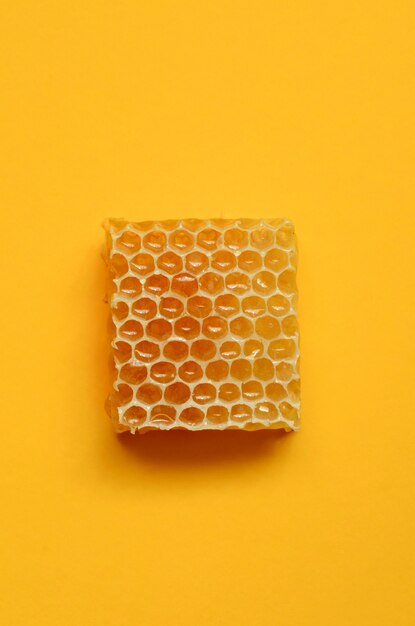 Honeycomb close up