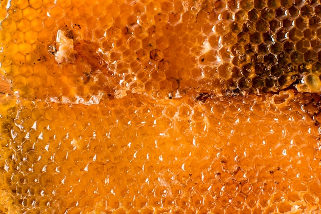 Photo honeycomb detail