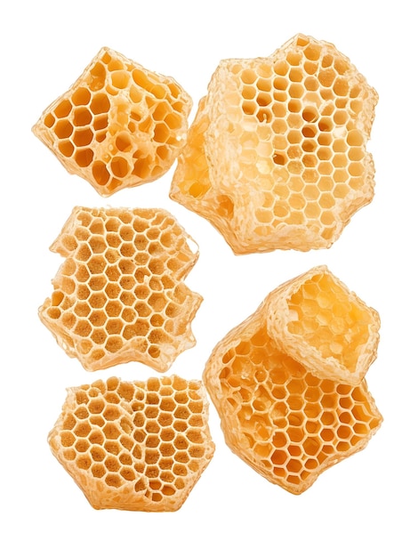 honeycomb honey bee