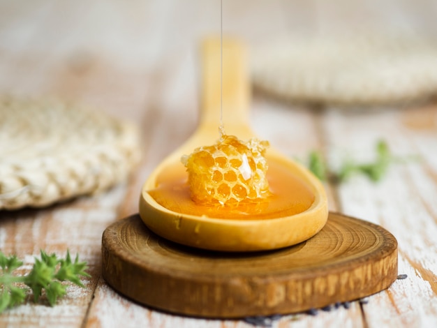 Honeycomb on spoon front view