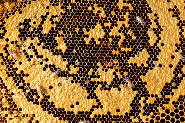 honeycomb texture background