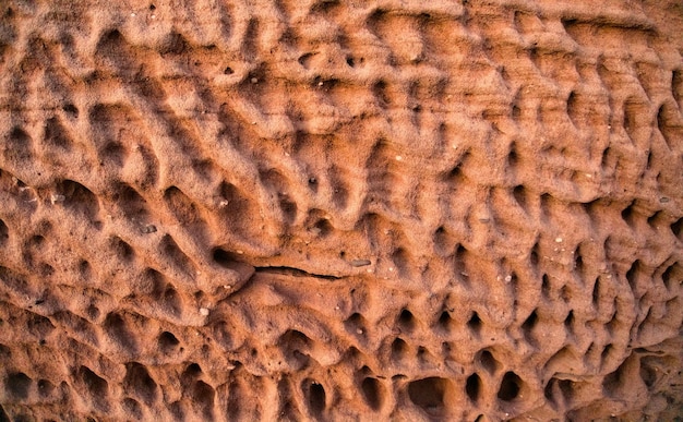 Honeycomb weathering sandstone