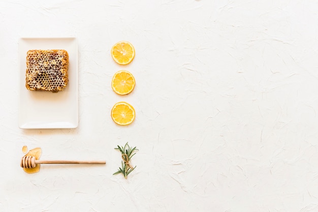 Photo honeycomb with dipper, rosemary, and row of lemon slice on white backdrop