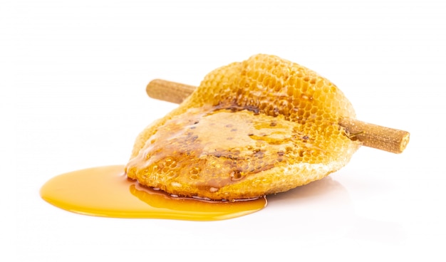 Honeycomb with sweet honey on dry branch isolated
