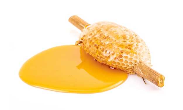 Honeycomb with sweet honey on dry branch isolated