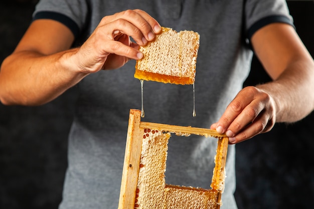 Favo in una cornice di legno