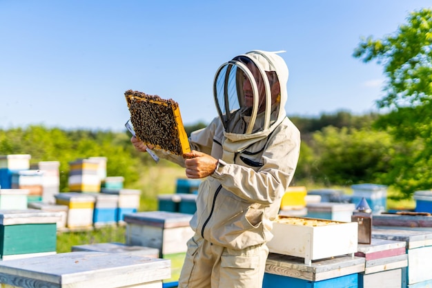 Honeycombs farming sweet honey Beekeeper in protective costume