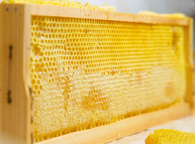 Honeycombs on the frame.