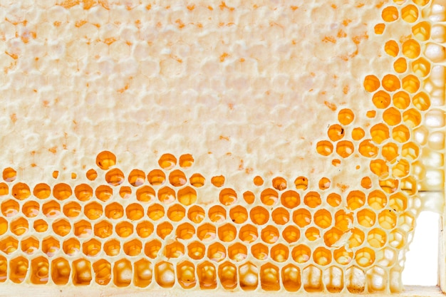 Honeycombs with honey. Natural background.