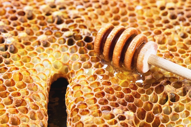 Honeycombs