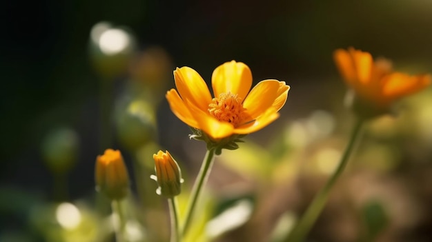 Цветок Honeycup красиво расцвел на естественном фоне Generative AI
