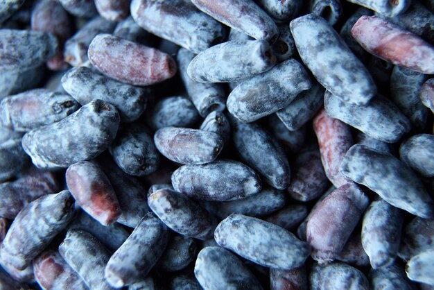 Honeysuckle lonicera caerulea berry food texture background berries top view closeup