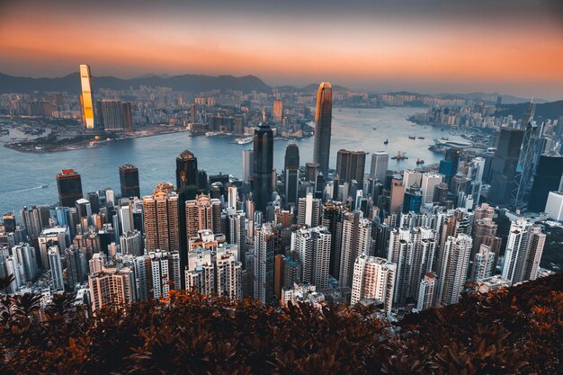 Hong Kong Skyline