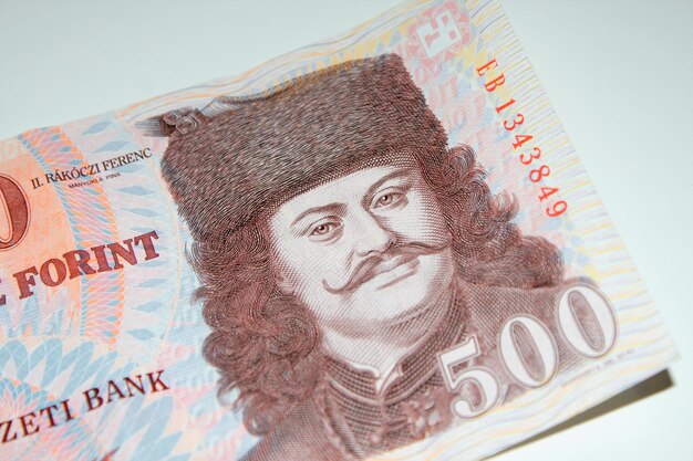 Hongaars bankbiljet van 500 forint