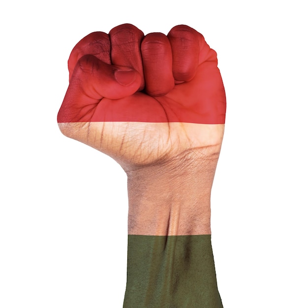 Foto hongaarse vlag met punchhand op een witte achtergrond