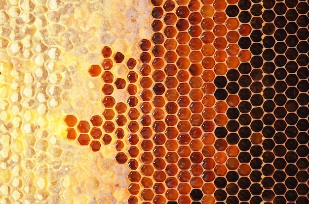 Honing in frame Textuurontwerp