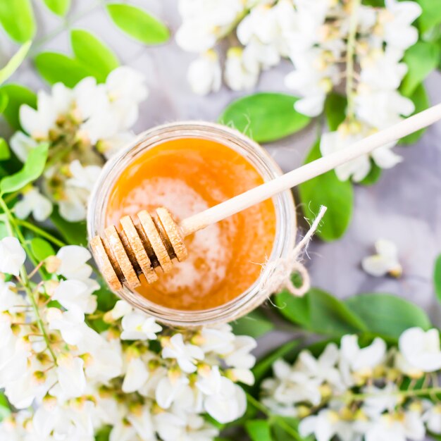 Honing van acacia en andere nectar tussen de bloeiende takken van acacia