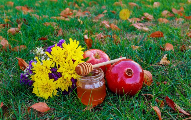 Honingpot en verse appels met granaatappel over groene bokehachtergrond