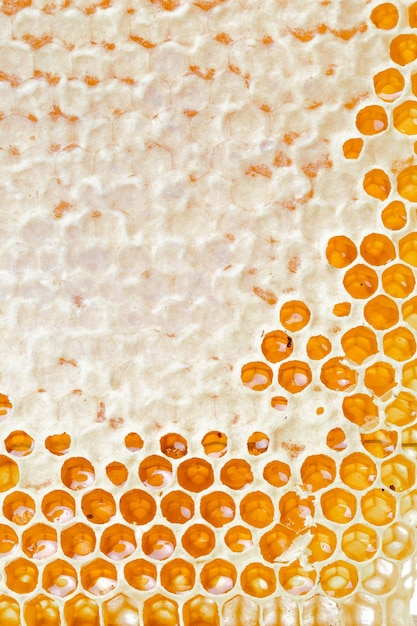 Honingraten met honing. Natuurlijke achtergrond.
