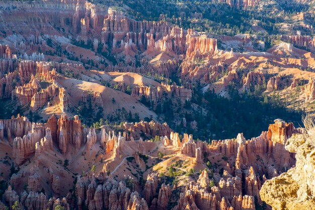 Hoodoos and rock formations Unique rock formations from sandstone made by geological erosion in Bryce canyon Utah USA