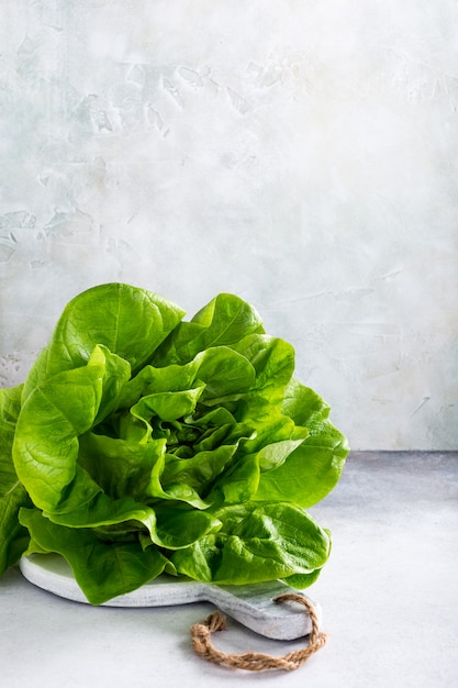 Hoofd van verse organische sla salade