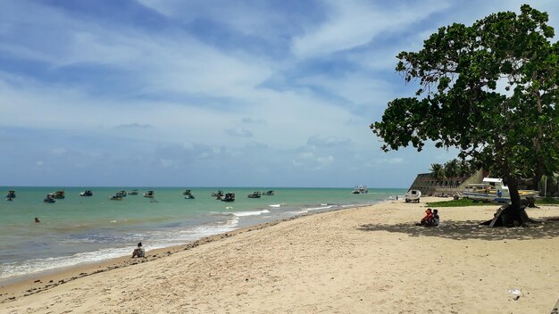 Hoofdstrand in Joao Pessoa Paraiba Brazilië