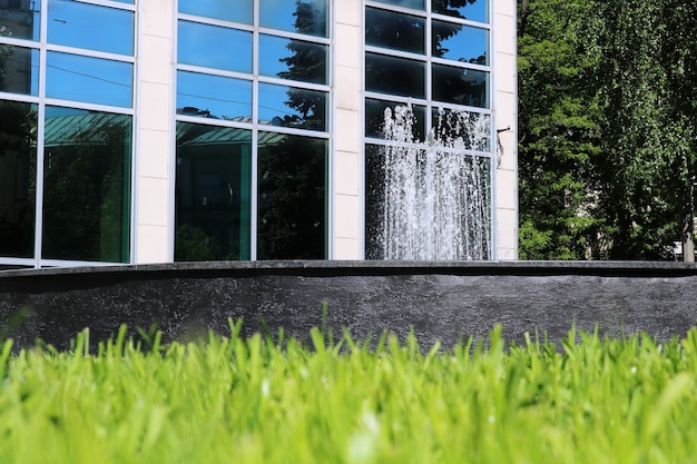 Hoog gras voor een gebouw