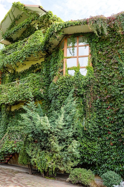 Hoog landhuis begroeid met groen Eco-huisvesting Prachtig gebouw voor het leven van mensen