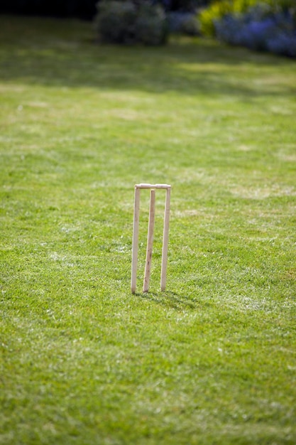 Foto hooghoek uitzicht op cricket stump op een grasveld
