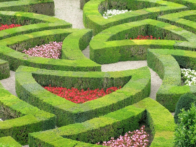 Foto hooghoek uitzicht op siertuin