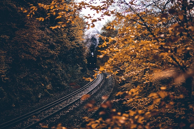 Hooghoek uitzicht op spoorlijnen te midden van bomen in de herfst