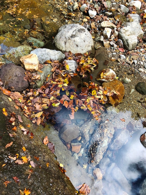 Foto hooghoek van de herfstbladeren op de rots