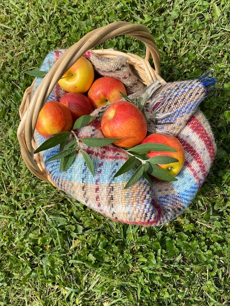 Foto hooghoekbeeld van appels in een mand