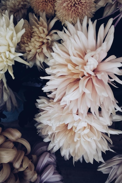 Hooghoekbeeld van bloeiende bloemen op tafel thuis