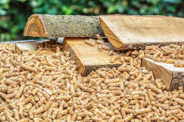 Foto hooghoekbeeld van blokken in het bos