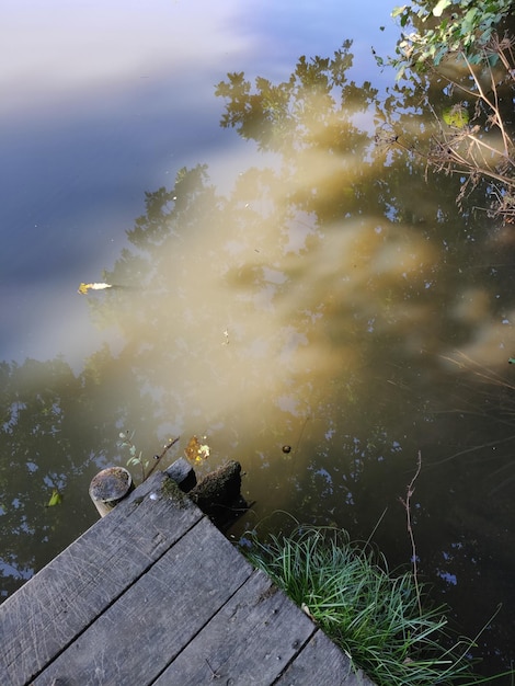 Foto hooghoekbeeld van bomen bij een meer in het bos