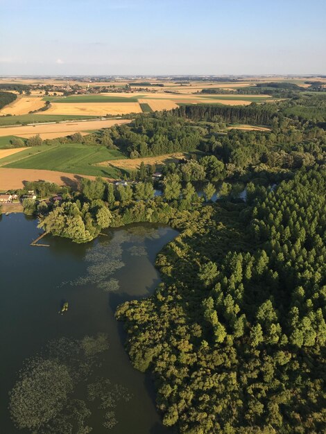 Foto hooghoekbeeld van bomen op het landschap tegen de lucht