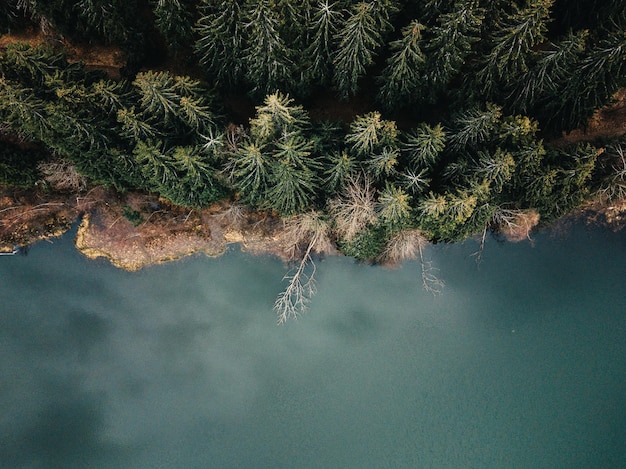 Foto hooghoekbeeld van boom bij meer