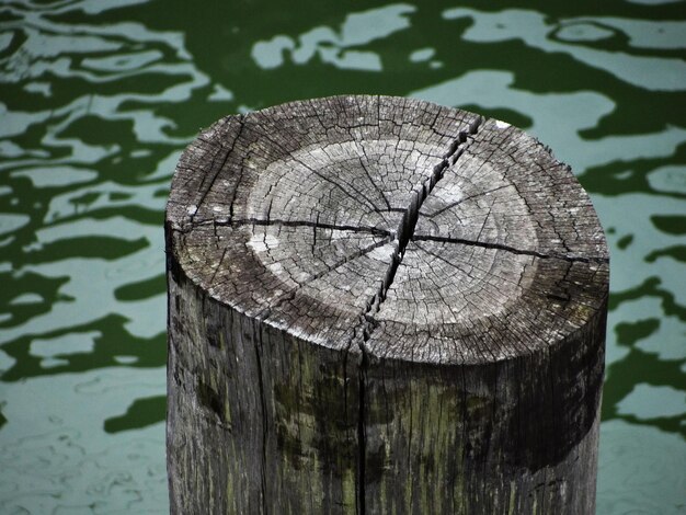 Foto hooghoekbeeld van boomstomp op houten paal