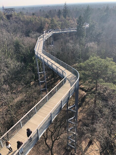 Foto hooghoekbeeld van de brug in het bos