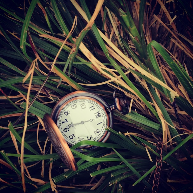 Foto hooghoekbeeld van de klok op planten