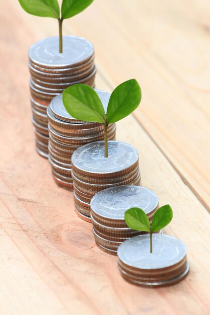 Foto hooghoekbeeld van de plant in een container op tafel