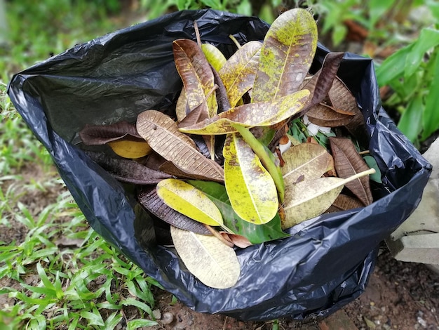 Hooghoekbeeld van de plant in het mandje op het veld