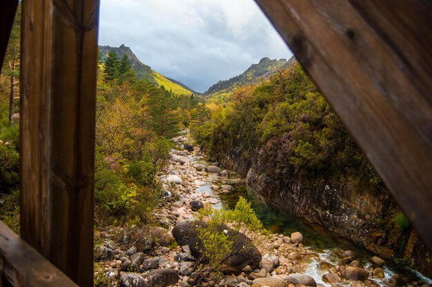 Foto hooghoekbeeld van de rivier te midden van bomen gezien door een raam